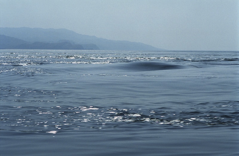 worlds largest whirlpool