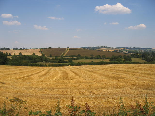 Hay harvest, credit David Stowell via Wikimedia