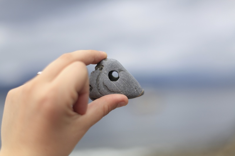 Pebbles with holes made by sea creatures – Jessica's Nature Blog