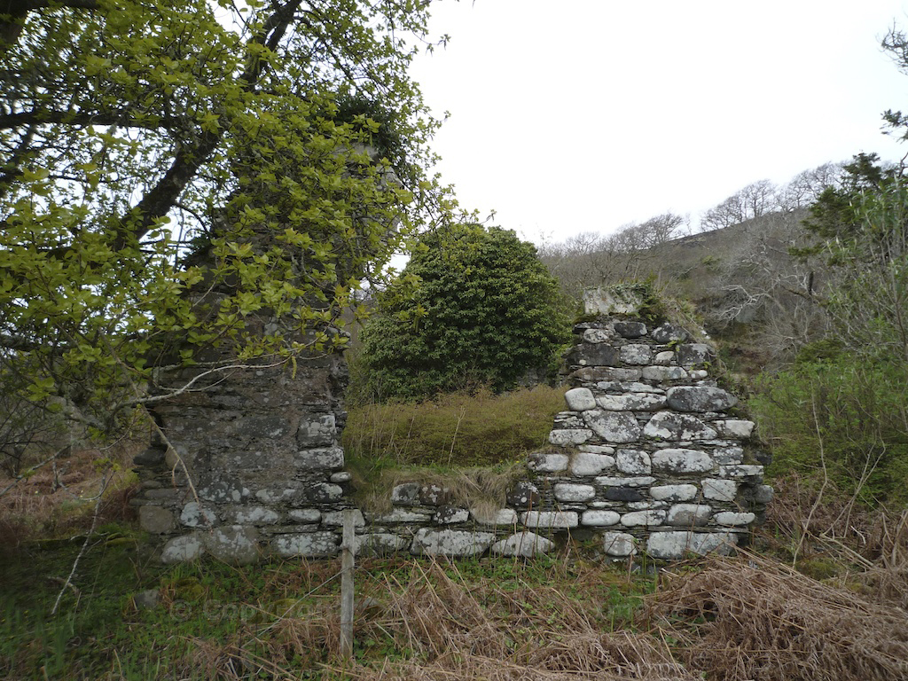 Ruined cottage in Knapdale