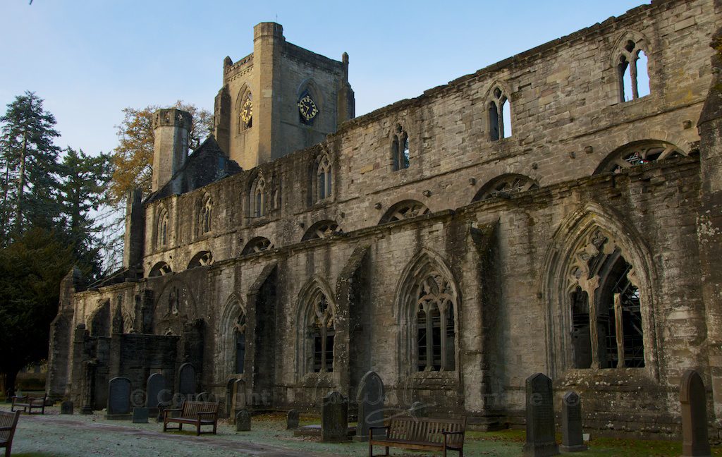 dunkeld-cathedral-scotland-s-sacred-heart-the-hazel-tree