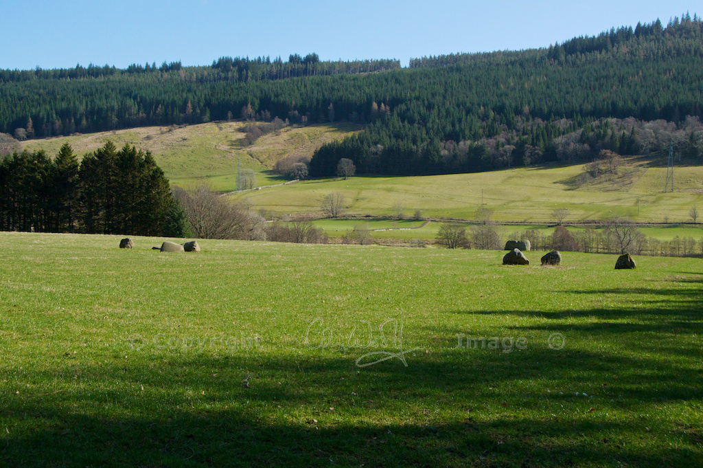 The stone circles of Fortingall – The Hazel Tree