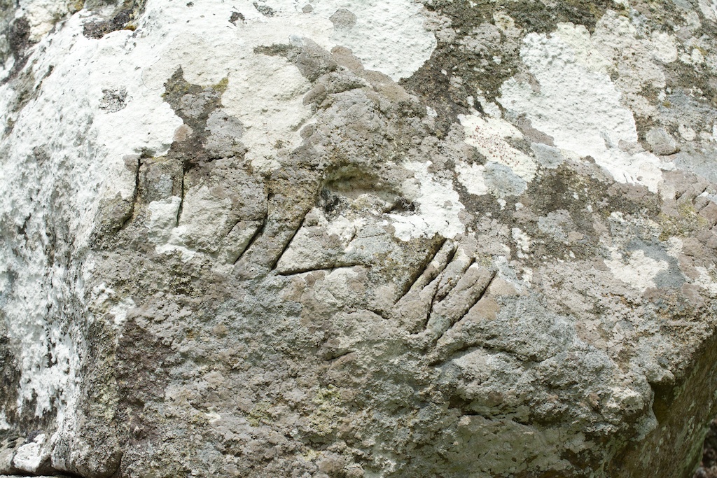 Carvings on stone at Dunadd
