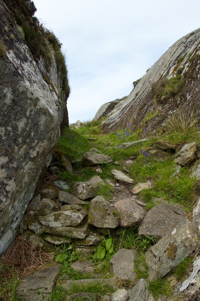 Dunadd - path to top