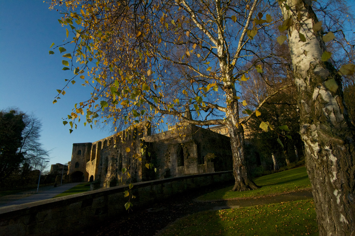 Dunfermline Abbey (4)