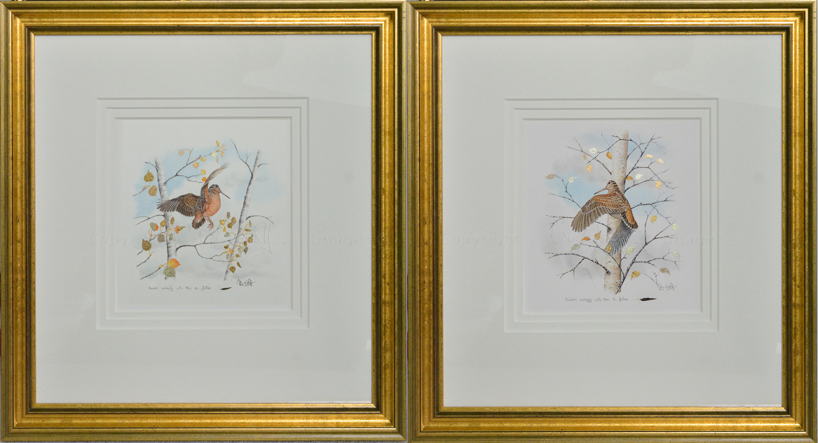 Woodcock pin-feather pair in gold leaf by Colin Woolf