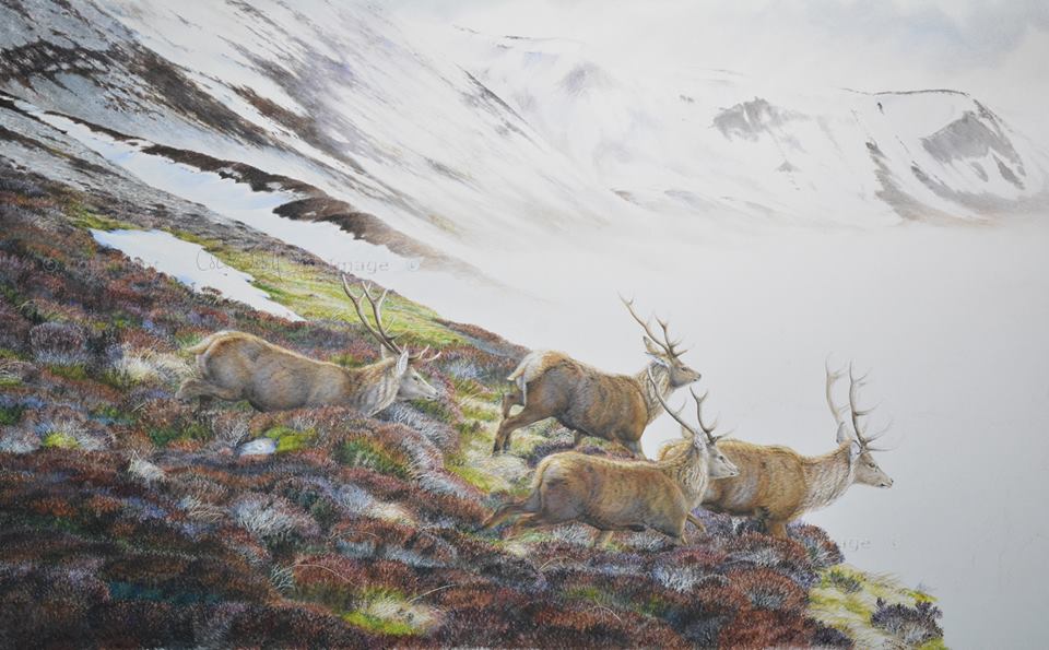 Red deer painting (5)