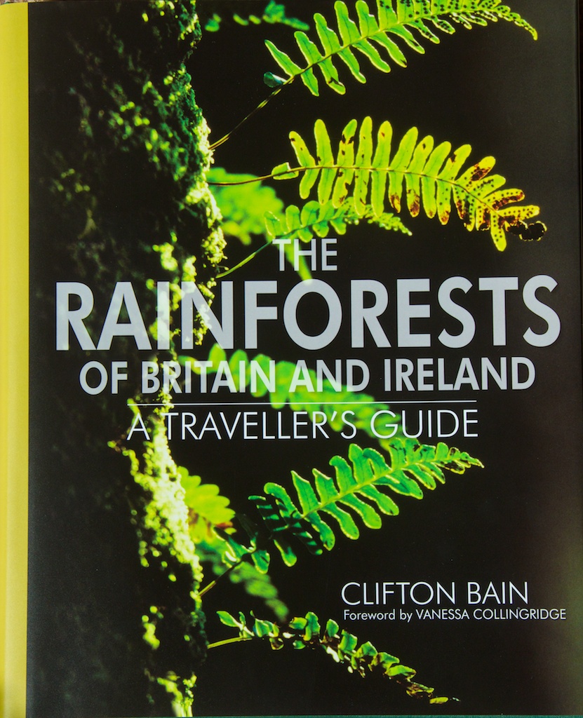 Rainforests book 23